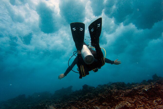 Scuba Diving (1st time) in Cancun Beginner's WELCOMED! - Key Points