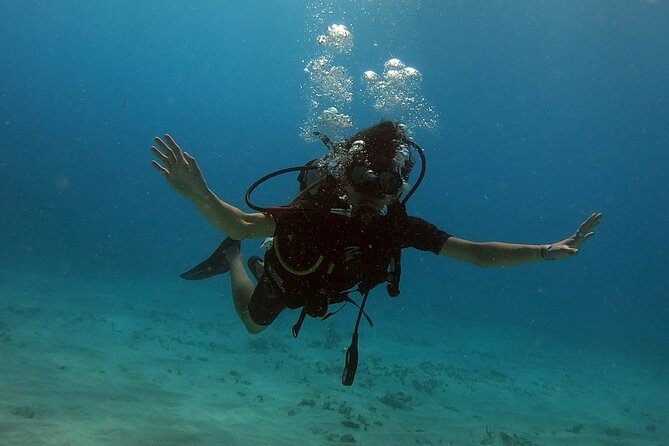 Scuba Diving (1st time) in Cancun Beginner's WELCOMED! - Exploring the Underwater Museum of Art (MUSA)
