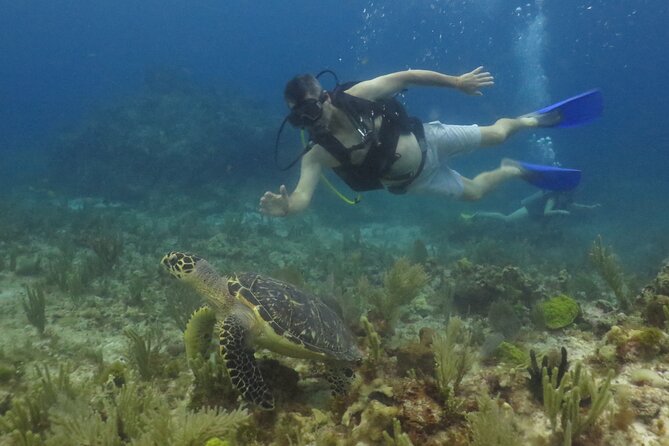 Scuba Diving (1st time) in Cancun Beginner's WELCOMED! - Discovering the Meso-American Reef Inside the National Park