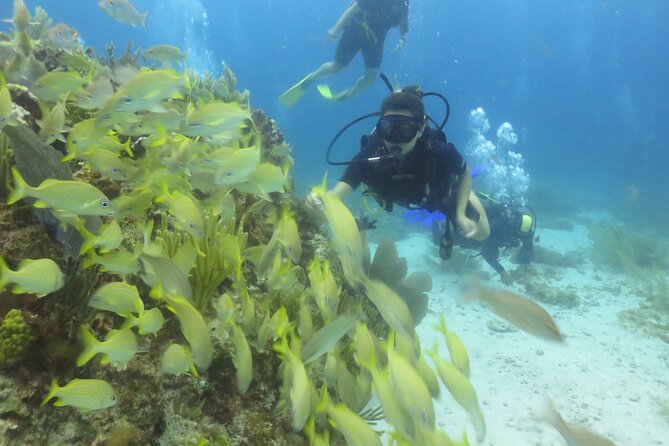 Scuba Diving (1st time) in Cancun Beginner's WELCOMED! - What’s Included and What’s Extra