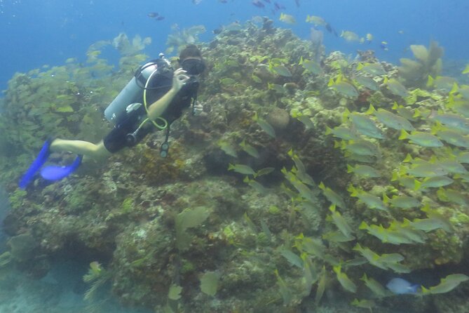 Scuba Diving (1st time) in Cancun Beginner's WELCOMED! - Physical Requirements and Safety Considerations