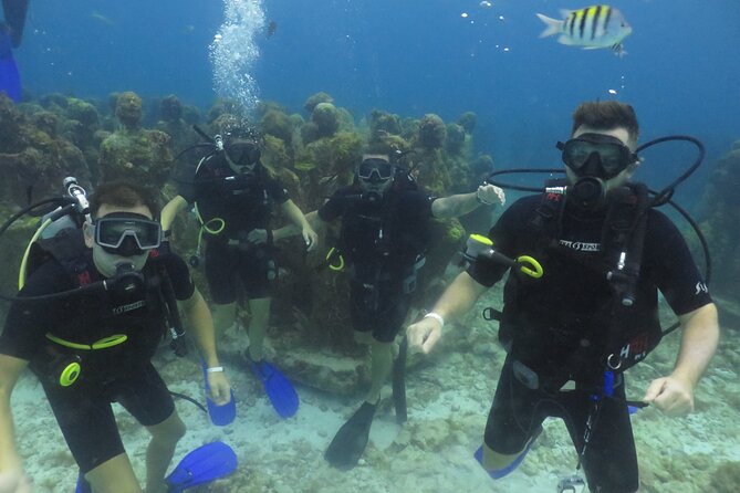 Scuba Diving (1st time) in Cancun Beginner's WELCOMED! - The Value of a First-Time Scuba Experience in Cancun