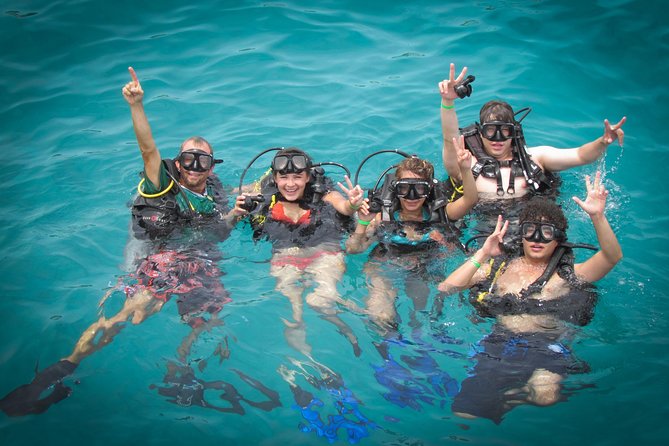 Scuba Diving - Underwater Encounters and Marine Wildlife