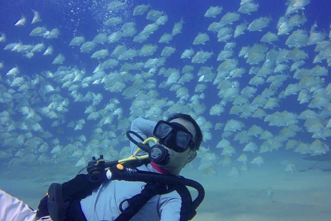 Scuba Diving - The Experience of Small Boat Diving in Baja California Sur