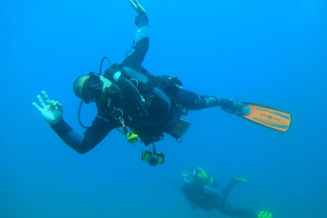 Scuba Diving Albufeira-Double Dive Trip - Underwater Sights and Marine Life in Albufeira