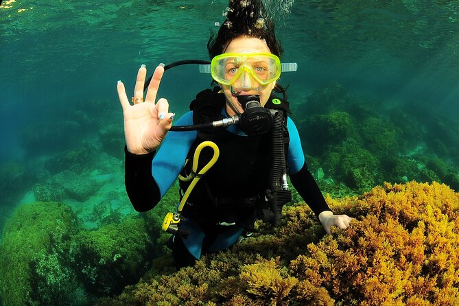 Scuba Diving Baptism and Snorkeling in Ibiza - Reviews and Feedback Highlights