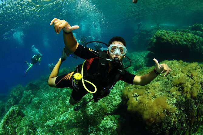 Scuba Diving Baptism and Snorkeling in Ibiza - Who Will Enjoy This Tour Most?