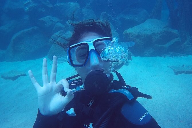 Scuba Diving Baptism in Caleta de Fuste - All-Inclusive Equipment and Post-Dive Photos