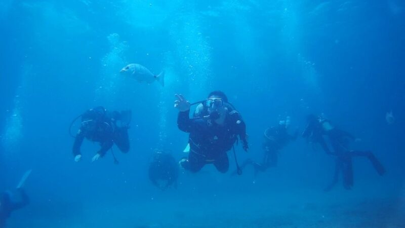 Scuba Diving Baptism in Caleta de Fuste - Discover the Excitement of Scuba Diving Baptism in Caleta de Fuste