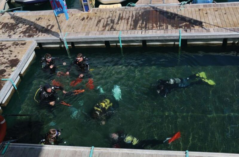 Scuba Diving Baptism in Caleta de Fuste - Additional Notes: Accessibility and Practical Tips