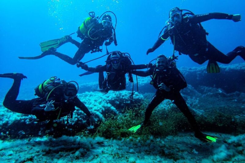 Scuba Diving Baptism in La Restinga - Why Choose This Tour: Strengths and Considerations