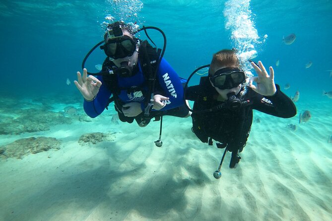 Scuba Diving (Basic Diver - 2 dives) - Comparing This Tour with Similar Experiences in Lanzarote