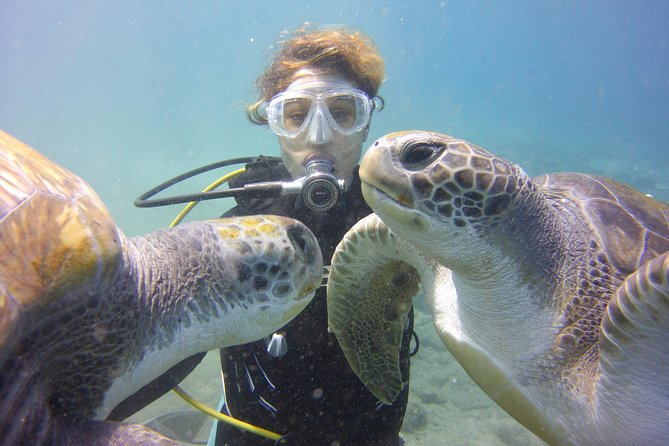 Scuba Diving Beginner's Session in Costa Adeje - Essential Details for the Costa Adeje Beginner Scuba Tour