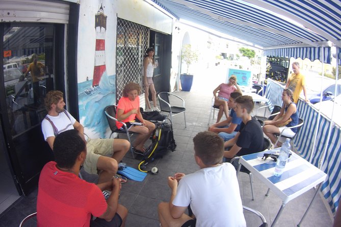 Scuba Diving Beginner's Session in Costa Adeje - What Marine Life Will You See During Your Dive?
