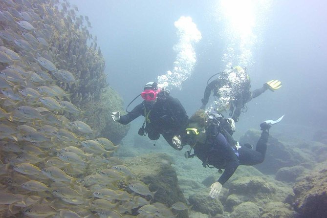 Scuba Diving Beginner's Session in Costa Adeje - Safety Measures and Group Size for a Confident Dive