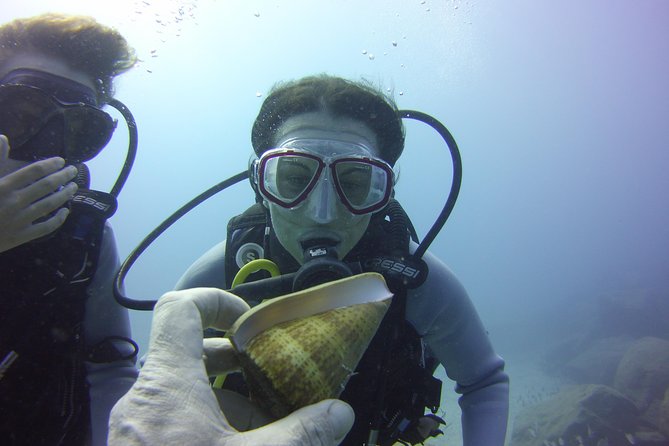 Scuba Diving Beginner's Session in Costa Adeje - Additional Perks: Hotel Pickup, Equipment, and Photos
