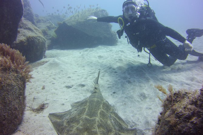 Scuba Diving Beginner's Session in Costa Adeje - Who Should Book the Costa Adeje Scuba Beginners Tour?