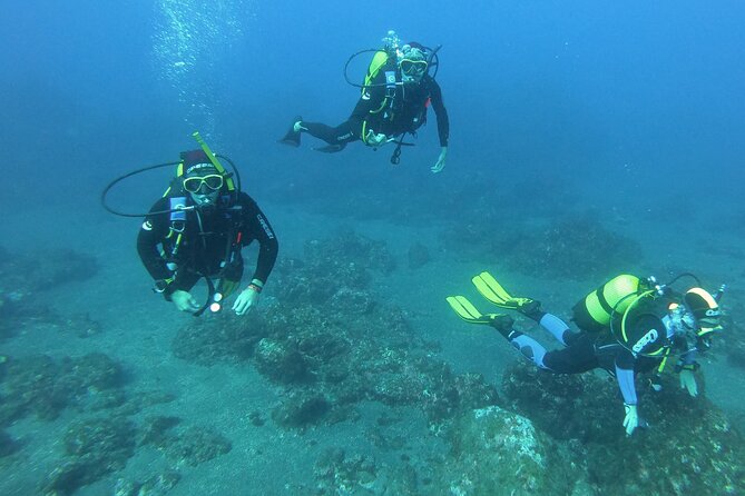 Scuba Diving - Flexibility with Daily Departures from October to June