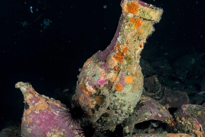 Scuba Diving Experience - The Itinerary: From Isole Ciclopi to WWII Shipwrecks