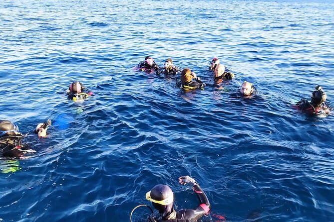 Scuba Diving Experience - The Practicalities: Booking and Cancellation Policies