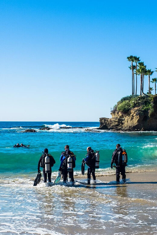 Scuba Diving Experience for Beginners In Greece - Exciting Beginner Scuba Diving in Greece for Just $124