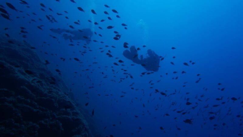 Scuba Diving Experience for Beginners In Greece - Key Points