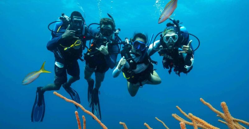 Scuba Diving Experience for Beginners In Greece - Saronida: The Perfect Setting for Your First Dive