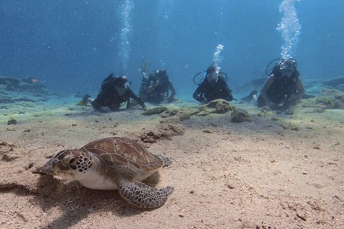 Scuba Diving Experience + Free Edited Video - Starting Point at Nautilus Scuba Diving Centre