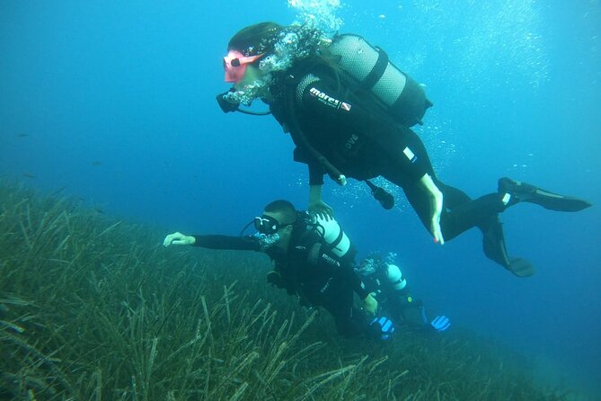 Scuba Diving Experience in Santorini - Weather and Cancellation Policies