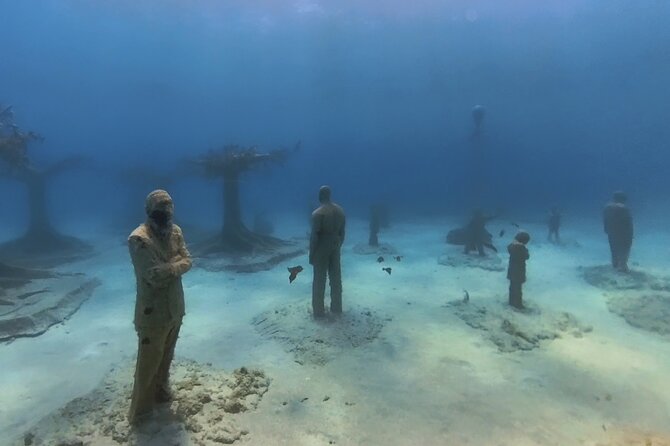 Scuba Diving Experience & MUSAN Dive + Free Edited Video 2xdives - Physical Requirements and Accessibility