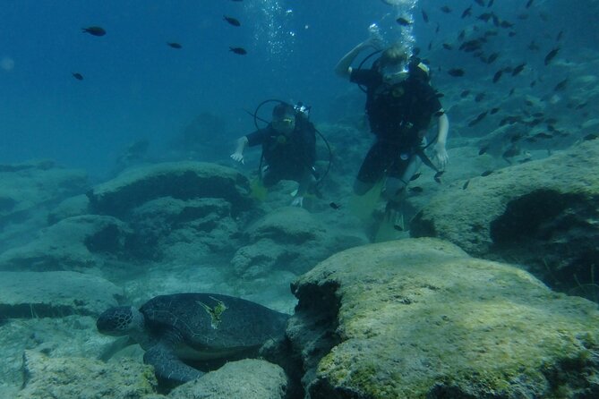 SCUBA DIVING first time experience - The Benefits of a Private, Small Group Dive