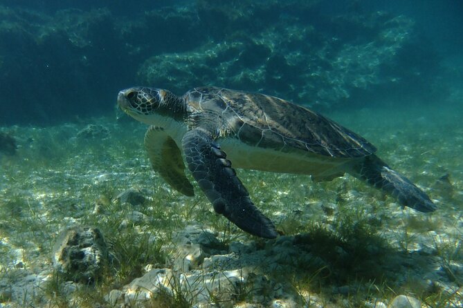 SCUBA DIVING first time experience - Flexibility and Booking Details