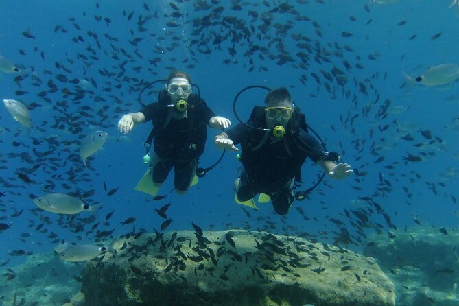SCUBA DIVING first time experience - Why This Tour Excels: Consistent Praise and High Ratings