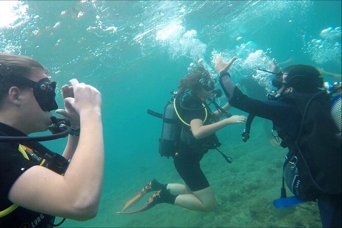 Scuba diving for beginners Cambrils with hotel Pickup - Discovering Marine Life in Salous Warm Waters