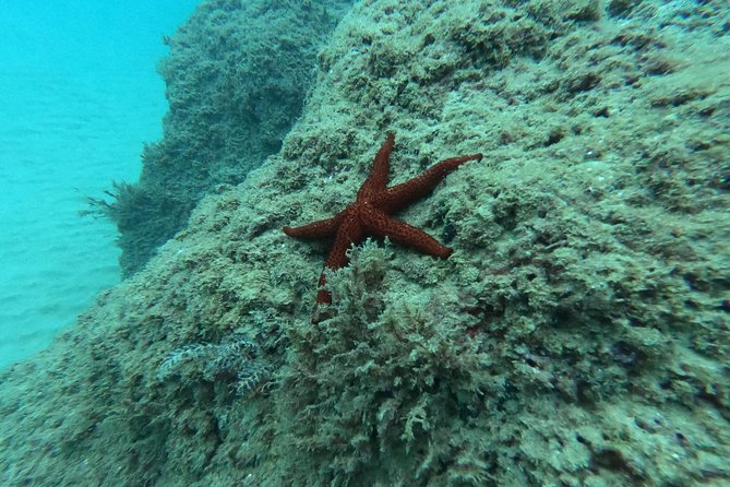 Scuba Diving For Beginners - Personalization and Group Size