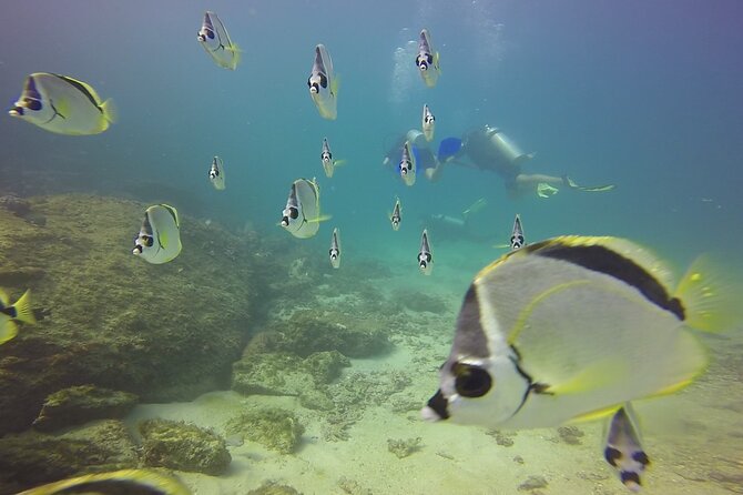 Scuba Diving for Beginners in Acapulco - Flexibility and Upgrades for Extended Diving Moments
