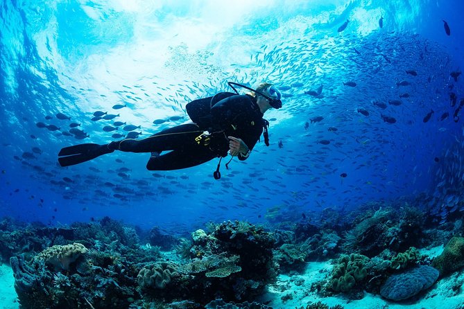 Scuba Diving for Beginners in Marmaris and Icmeler - Who Should Consider This Tour?