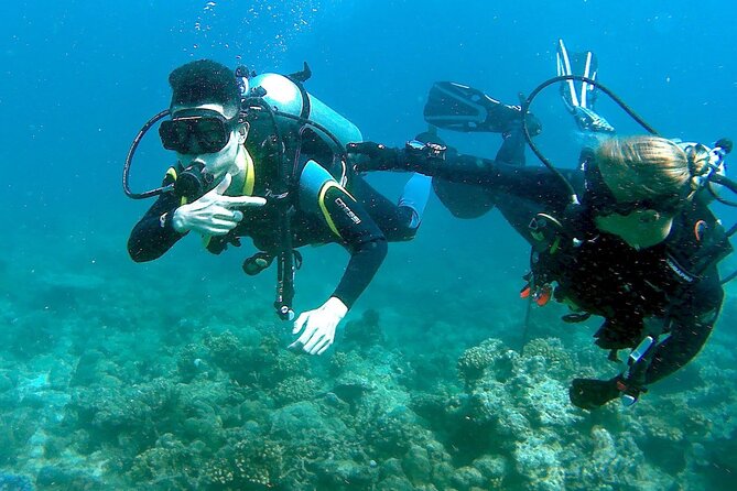 Scuba Diving for Beginners in Pula - Experience Safe, Beginner-Friendly Scuba Diving in Pula for Just Over $100
