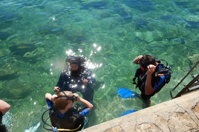 Scuba Diving for Beginners in Pula - Key Points