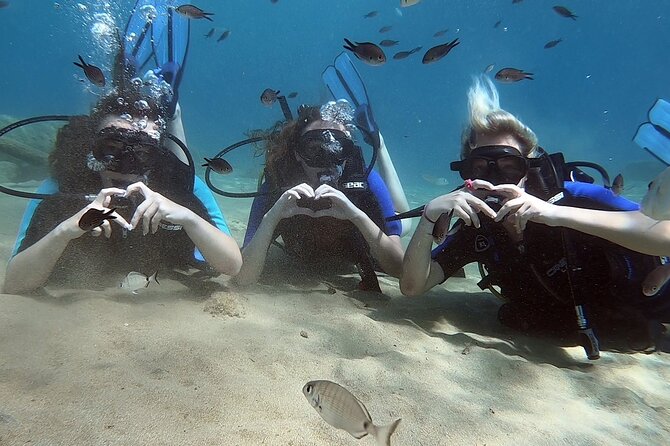 Scuba Diving for Beginners with a PADI Instructor near Heraklion - Watching Your HD Dive Videos