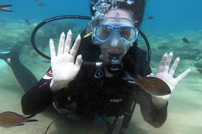 Scuba Diving for Beginners with a PADI Instructor near Heraklion - Understanding the Cost and Whats Included