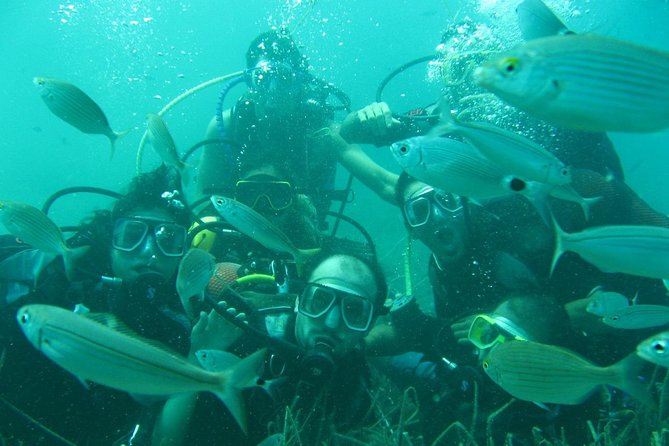 Scuba Diving from Bodrum - The Dining Experience and Additional Costs
