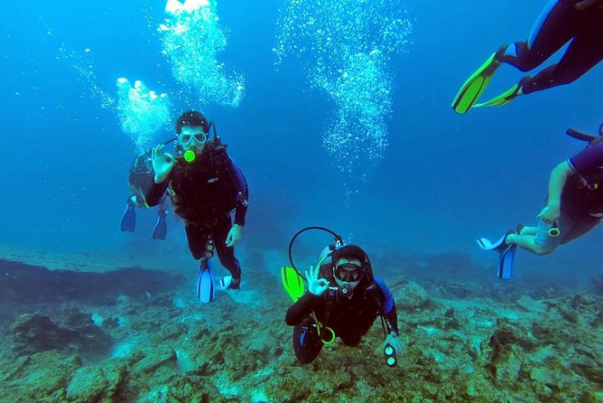 Scuba Diving from Marmaris Area - Why This Dive Tour Stands Out in Marmaris