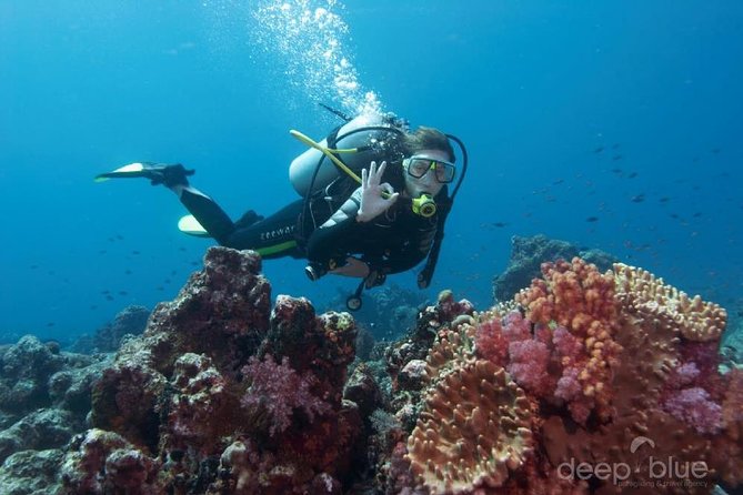 Scuba Diving full of adrenaline in Antalya - Discover the Excitement of Scuba Diving in Antalya
