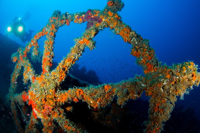 Scuba diving in Calabria, Italy - Dive Sites Near Marina di Gioiosa Ionica