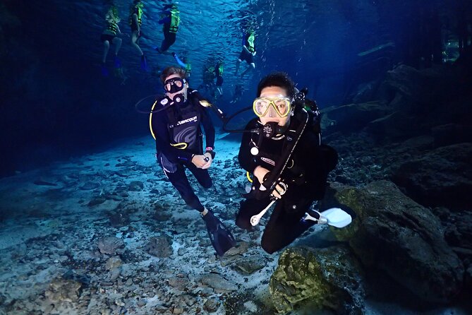 Scuba Diving in Cenote Kukulkan from Playa del Carmen - Key Points