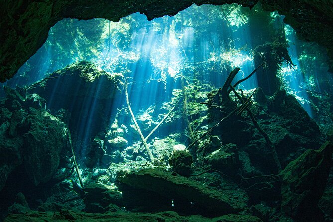 Scuba Diving in Cenote Kukulkan from Playa del Carmen - The Scenic Experience at Cenote Kukulkan