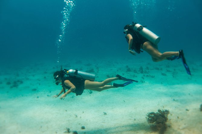 Scuba Diving in Cozumel Island - Expert Guides and Small Group Comfort