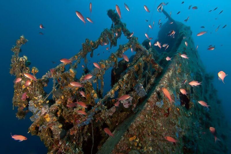 Scuba Diving in Dubrovnik: 1 Dive for Certified Divers - Discover the Best of Dubrovnik’s Marine Life with a 1-Dive Experience