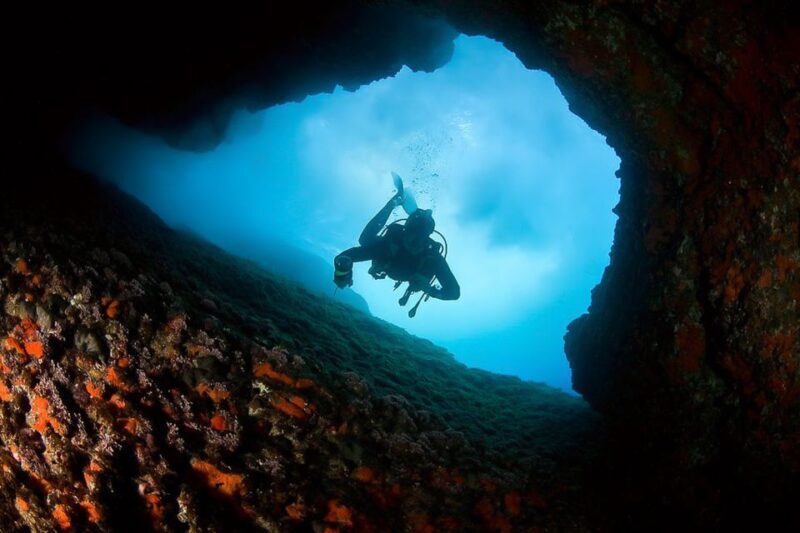 Scuba Diving in Dubrovnik: 1 Dive for Certified Divers - Why Choose This Diving Tour in Dubrovnik